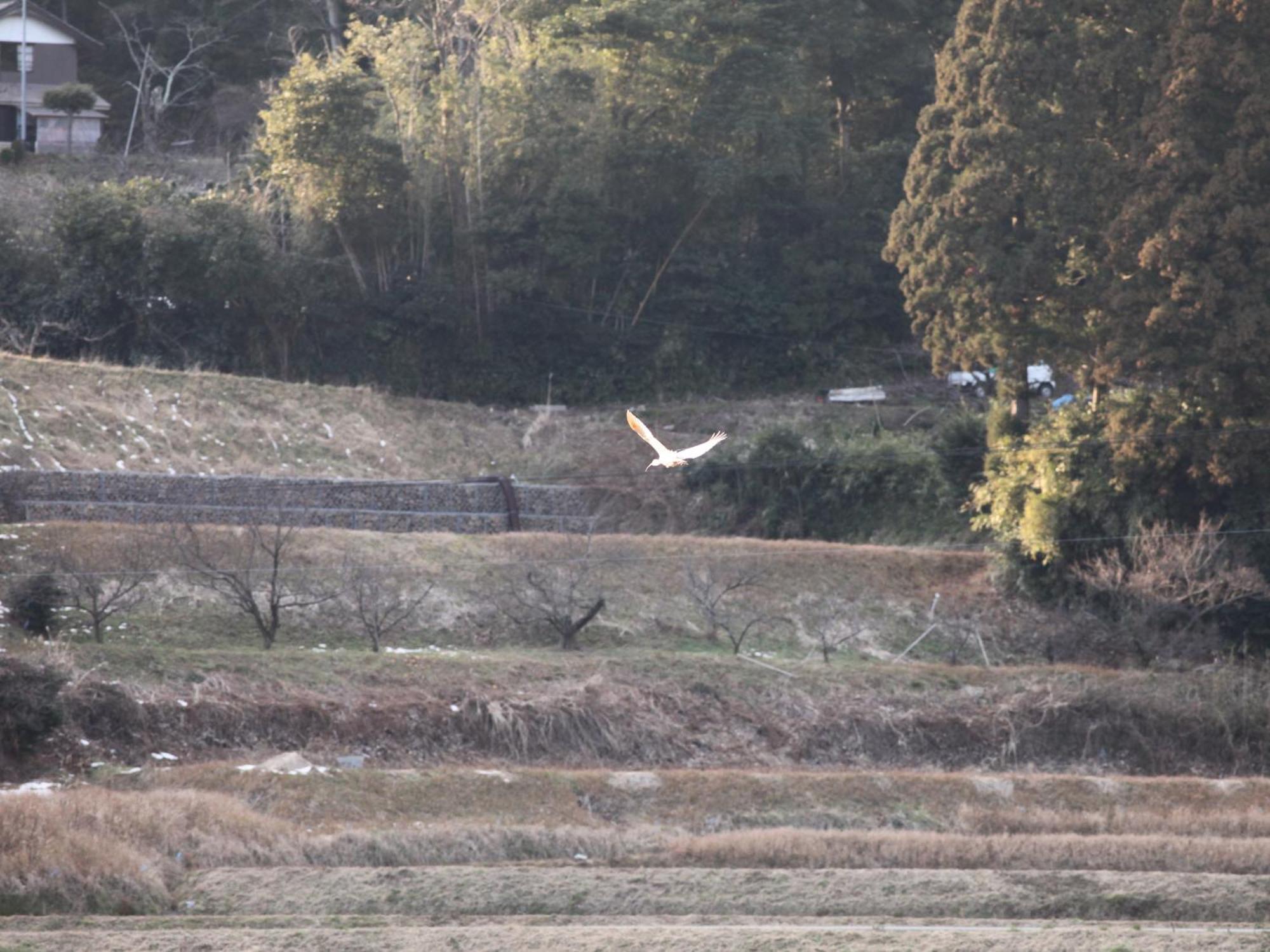 ホテル Fureaihouse Shiodu No Sato 佐渡市 エクステリア 写真